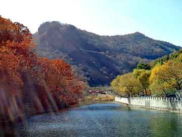 新澳天天开奖资料大全旅游团，龙山seo软件